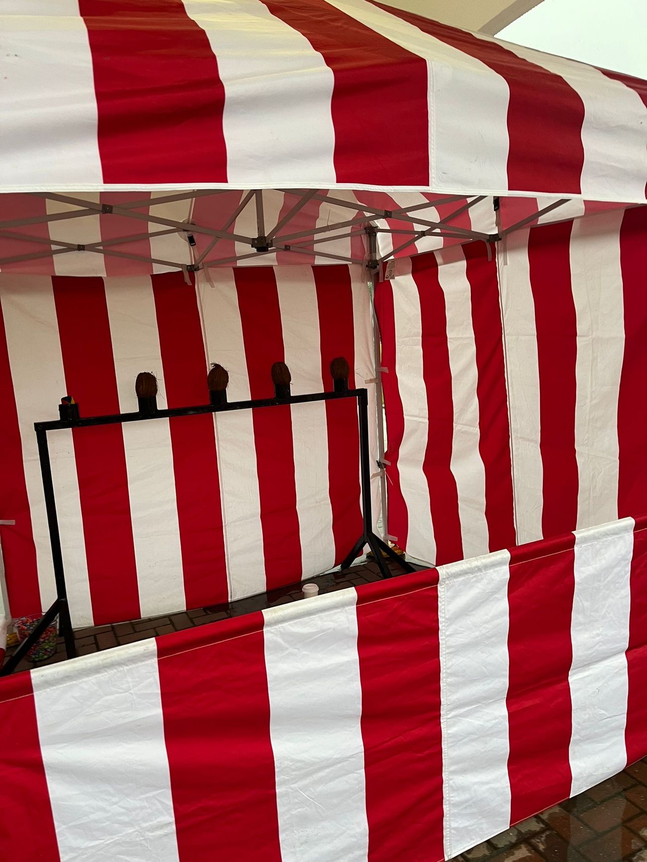 Four coconuts on the target stand behind the striped barrier